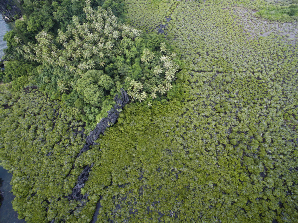 Cooperaciones Científicas CNRS: Impulsando la Excelencia en América del Sur