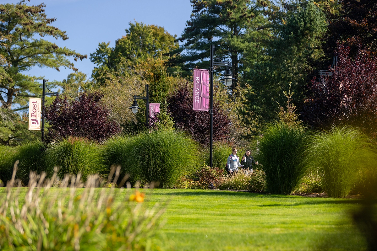 Two students walk along a sunny campus garden path lined with tall black lamps and purple banners.